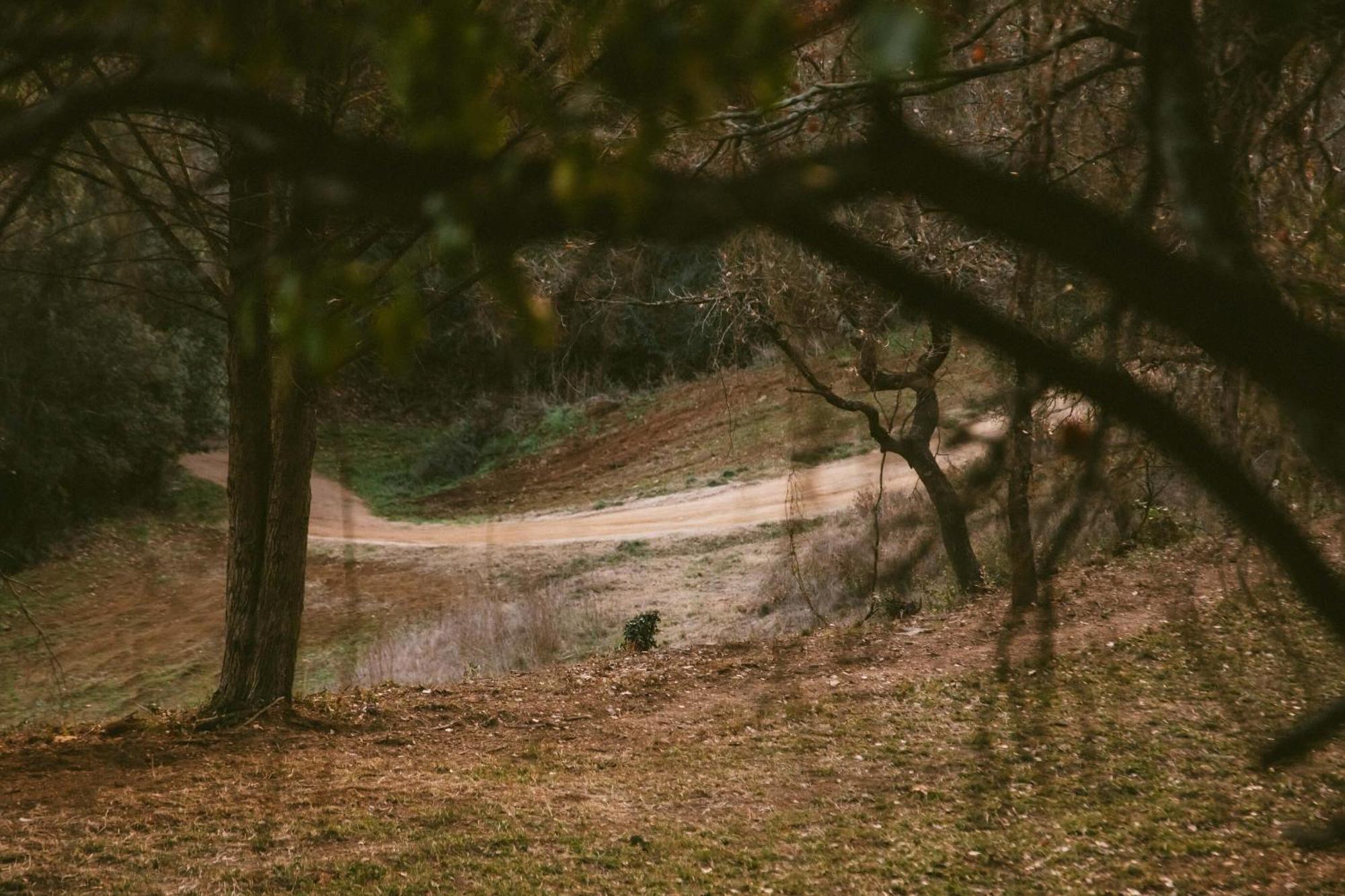 Caseta Wald By Tiny Away Las Serras ภายนอก รูปภาพ