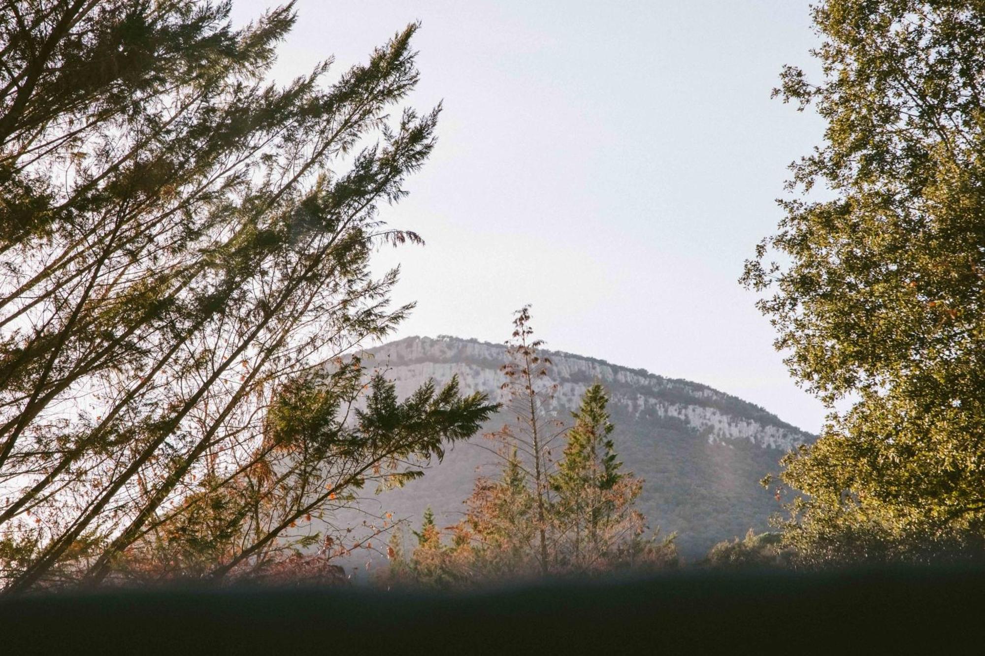 Caseta Wald By Tiny Away Las Serras ภายนอก รูปภาพ